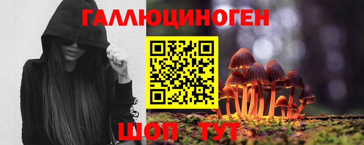 Белгород  Псилоцибиновые грибы мицелий  Вход с VPN 