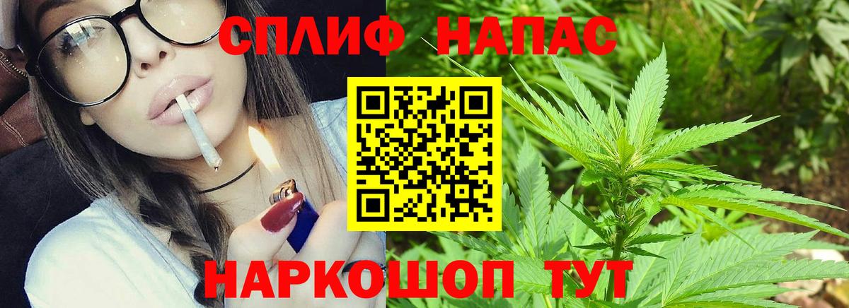 Конопля MAZAR Белгород